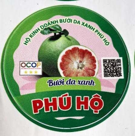 ho kinh doanh buoi da xanh phu ho