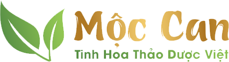 CÔNG TY CỔ PHẦN THƯƠNG MẠI VÀ DỊCH VỤ MỘC CAN