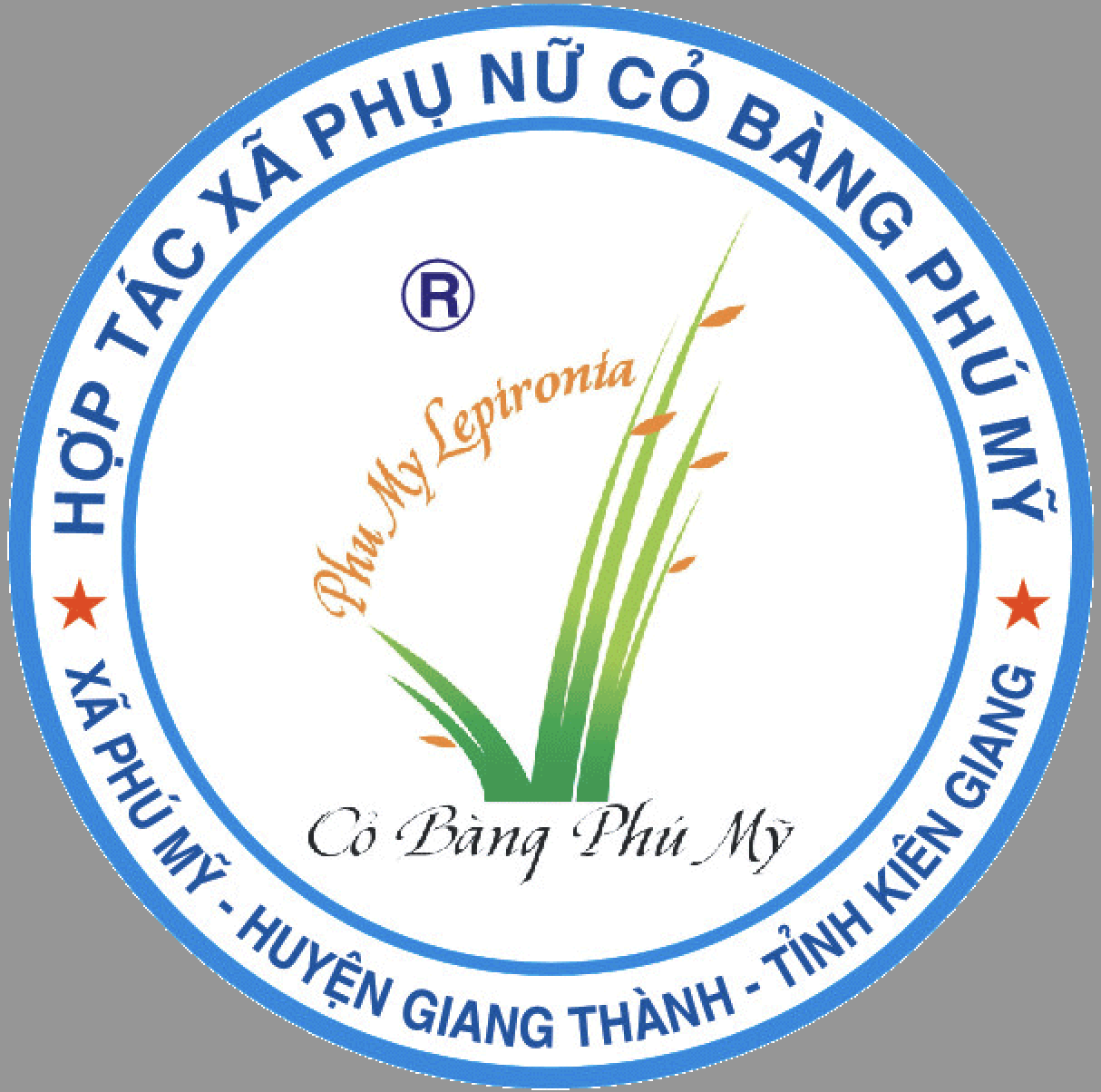 doanh nghiep co bang phu my