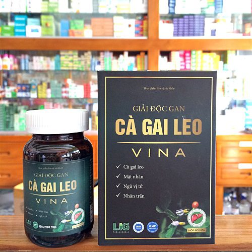 giai doc gan ca gai leo vina