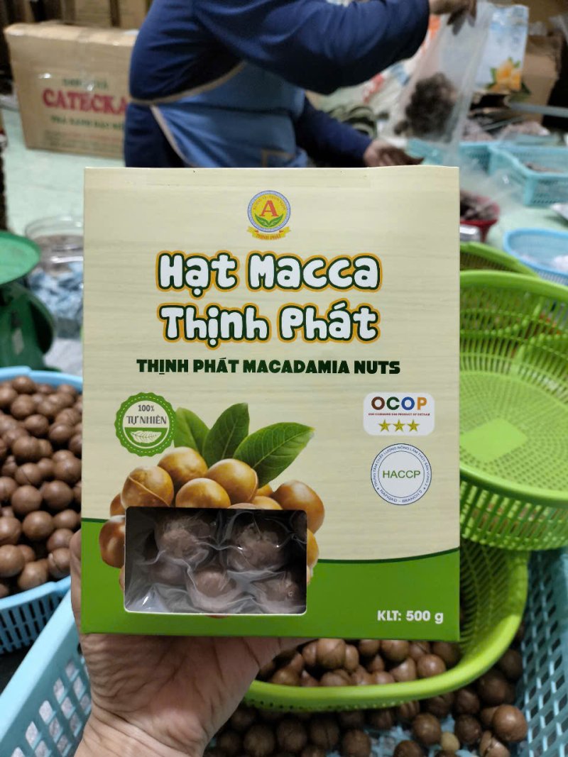 hat macca thinh phat
