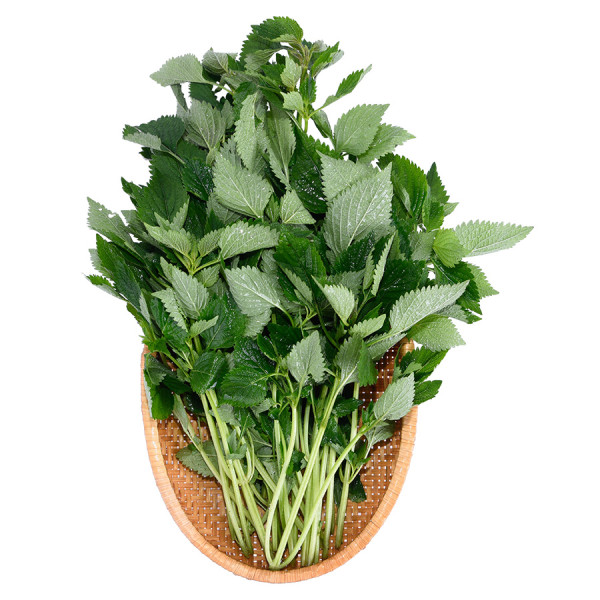 kinh gioi 100g