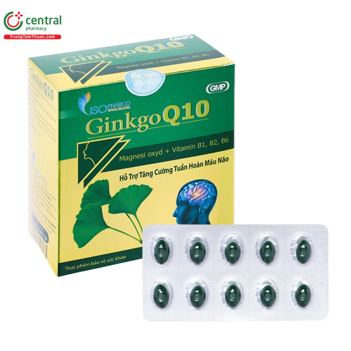 tpbvsk ginkgo q10