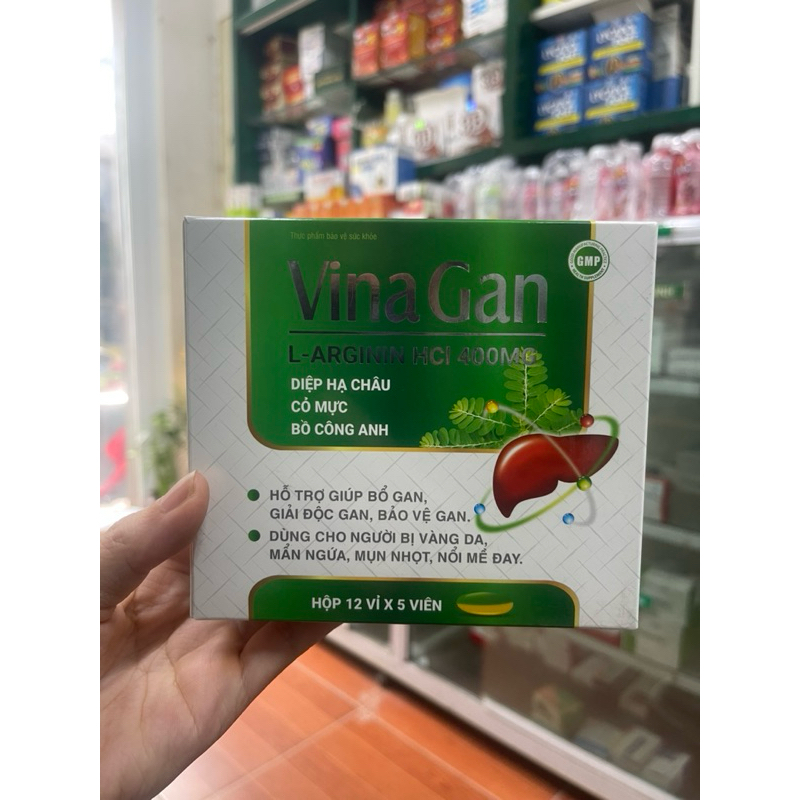 vina gan