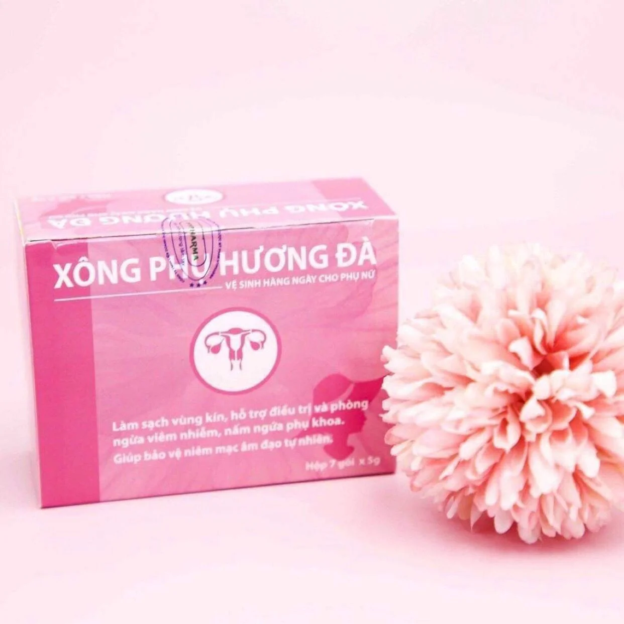 xong phu huong da